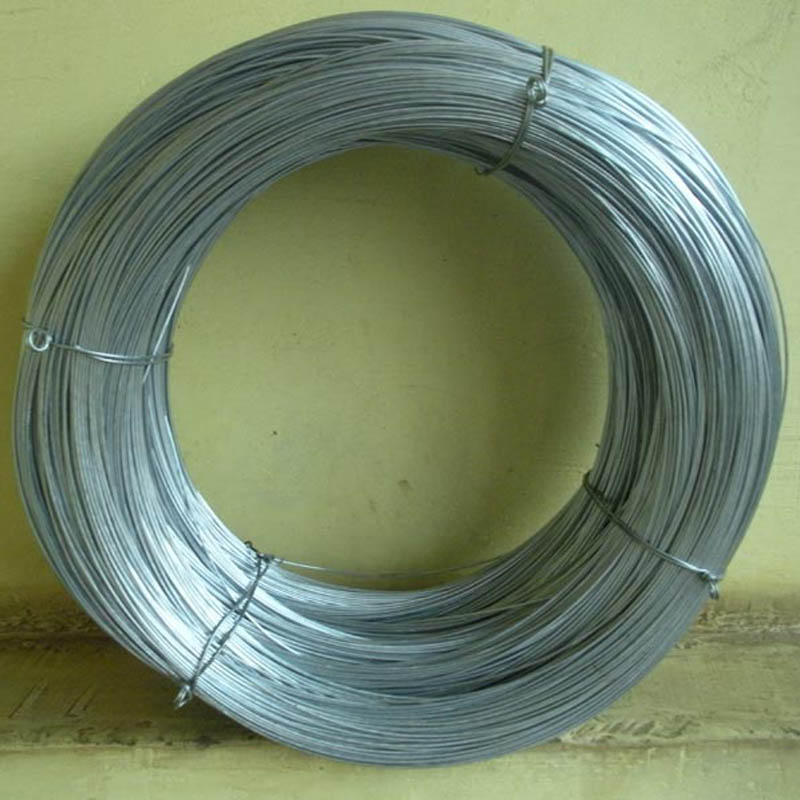 Iron Binding Wire Solutions | Shijiazhuang Tangchao Metal Products Co., Ltd.
