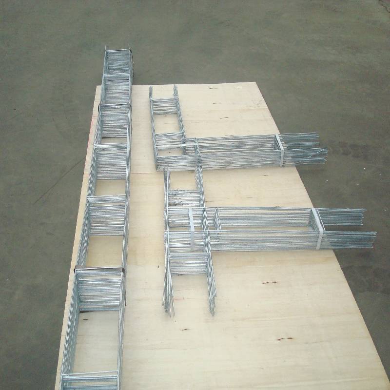 Exploring the Importance of Using Nets for Tree Root Ball Stability and Growth