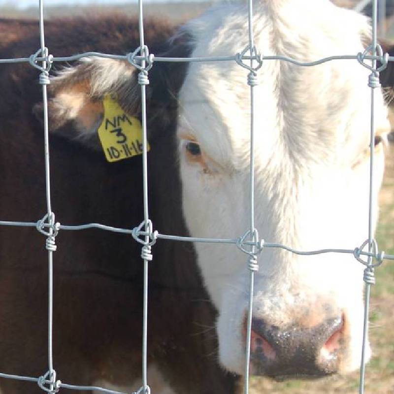 Exploring the Benefits and Applications of Flexible Wall Ties in Modern Construction Techniques