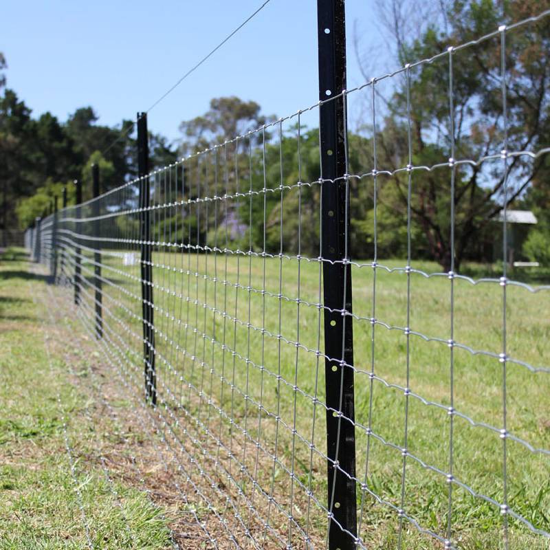 Field Fence for Sale: Galvanized, Durable, Ready to Ship?
