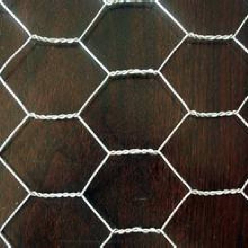 Chicken Net for Sale - Premium Wire Mesh for Poultry Fencing