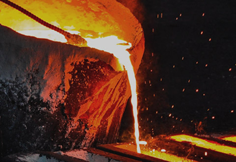 Durable Metal Garden Supports for Your Plants