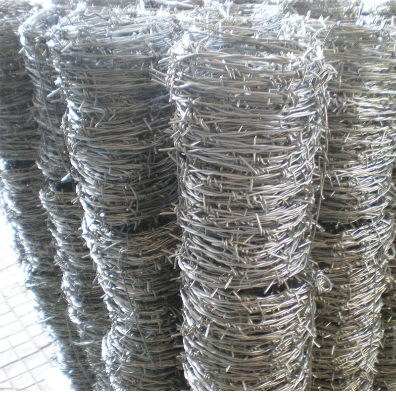 cattle panel fence