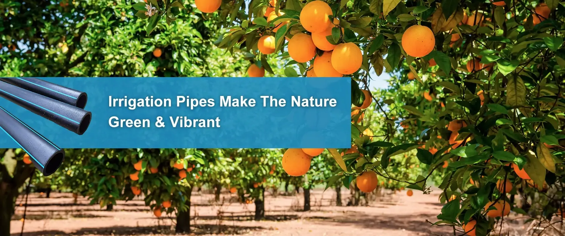 HDPE PIPE FOR IRRIGATION