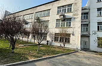 High-Quality Laboratory Hand Gloves - Safety and Comfort for Your Lab Work