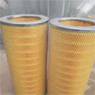 polyester cartridge filter