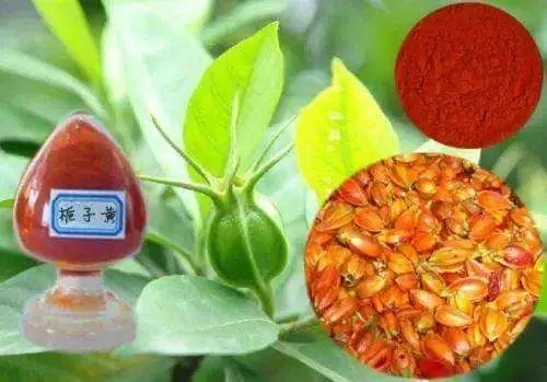 11 kinds of plant dyes commonly used