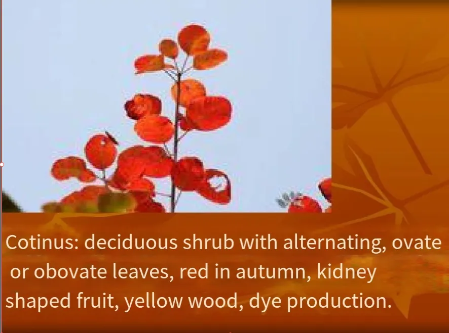 Durable Grey Cotton Fabric for Versatile Heavy-Duty Applications