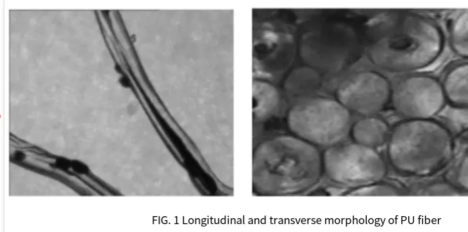 How to identify spandex, PTT and T-400 these three elastic fibers?