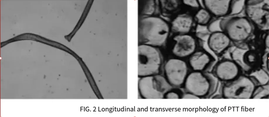 How to identify spandex, PTT and T-400 these three elastic fibers?