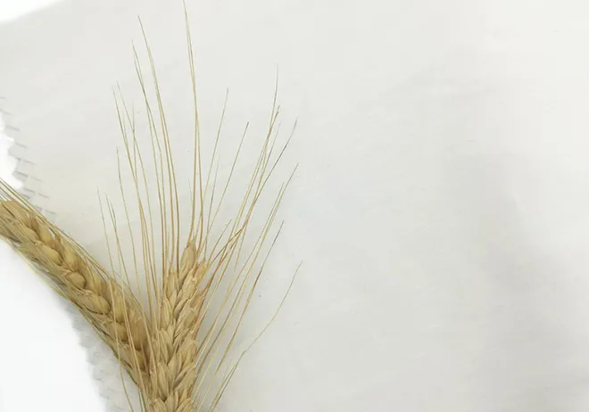 The Elegance and Versatility of Grey Cloth