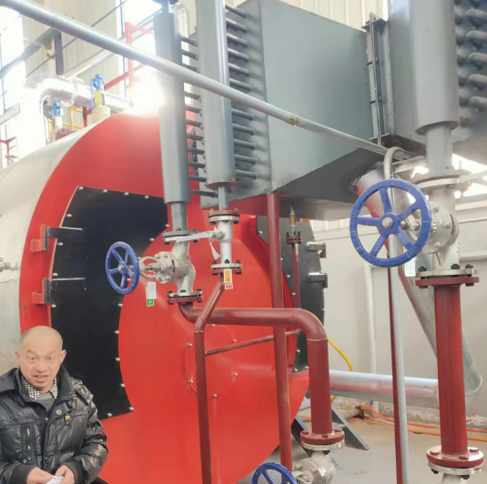 Gas Fired Hot Water Boiler Smart Controls