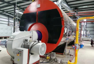 2 ton steam boiler price