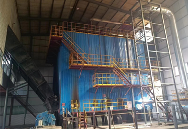 Biomass fired thermal Oil Boiler