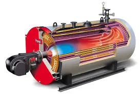 what does a biomass boiler burn