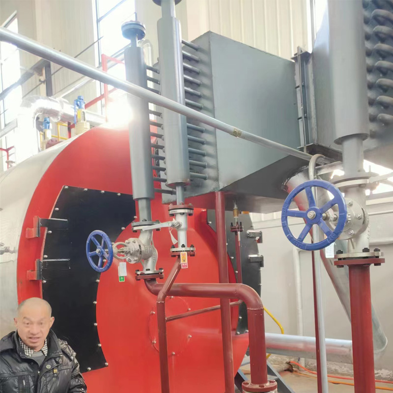 thermal oil boiler for sale