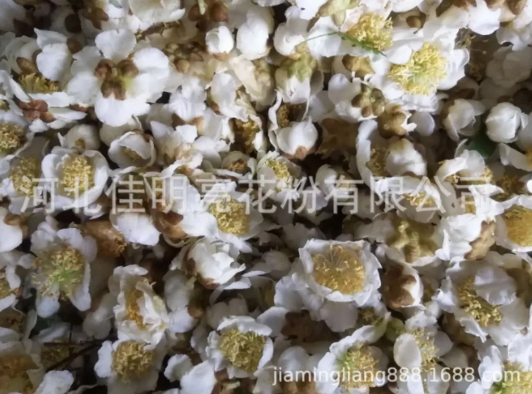 Kiwi Pollen for Sale Cold Storage