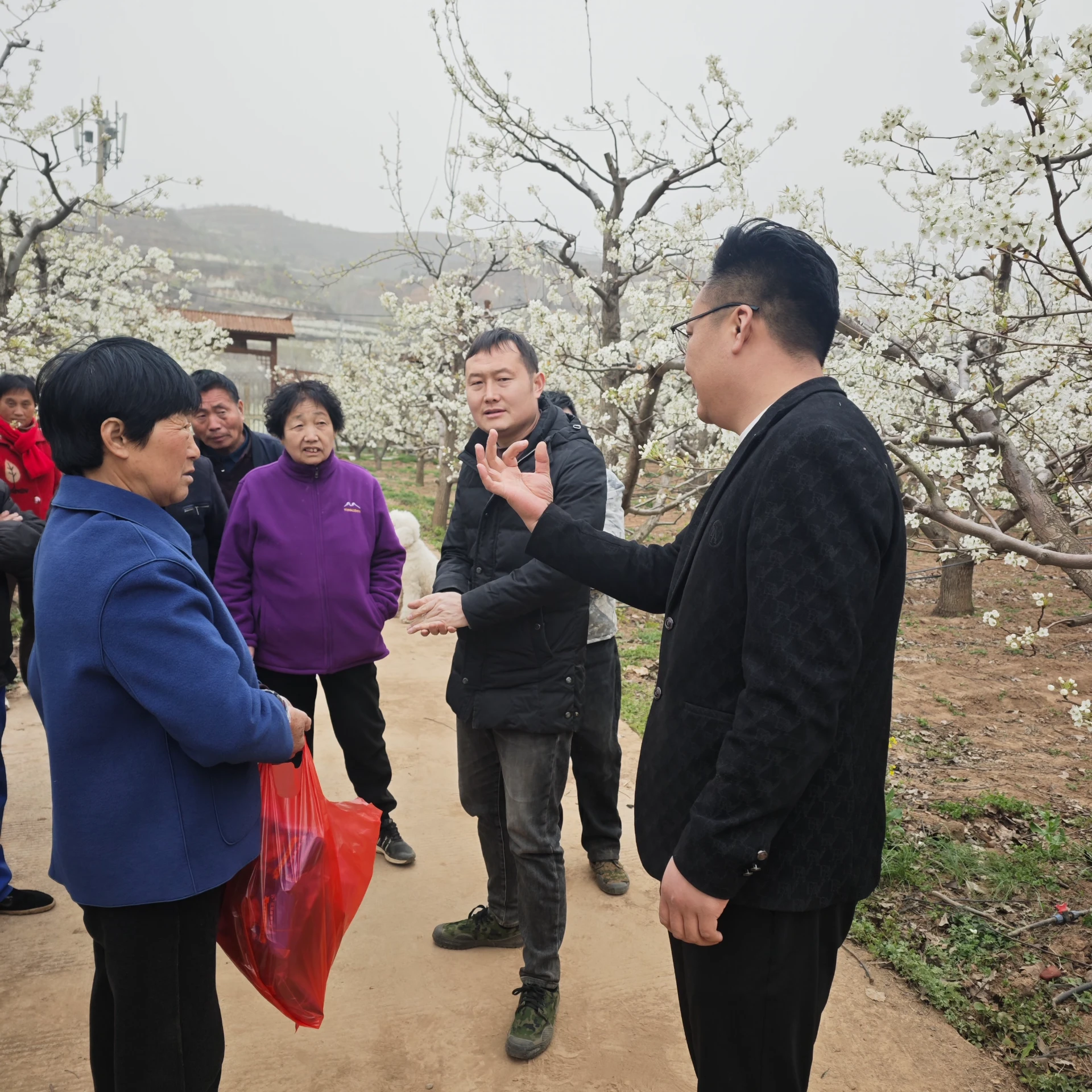 Apple Pollen The Catalyst for Orchard Prosperity​