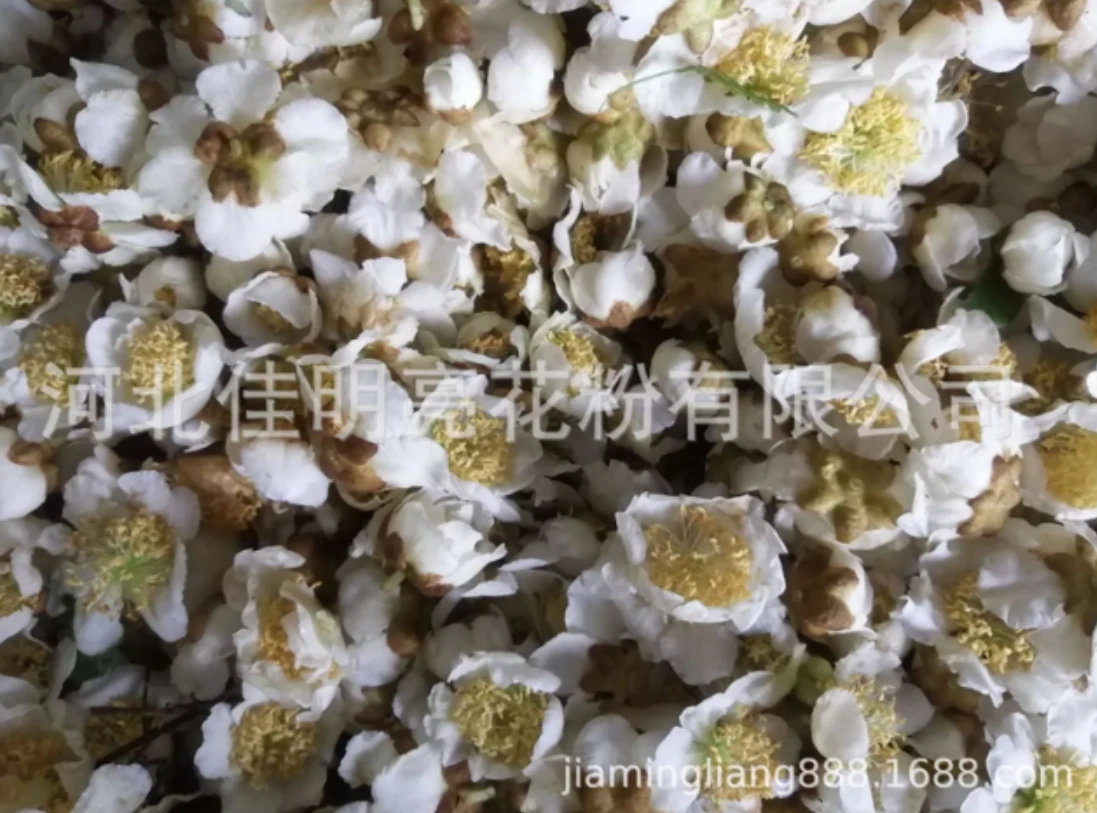 Kiwi Pollen for Sale Cold Storage