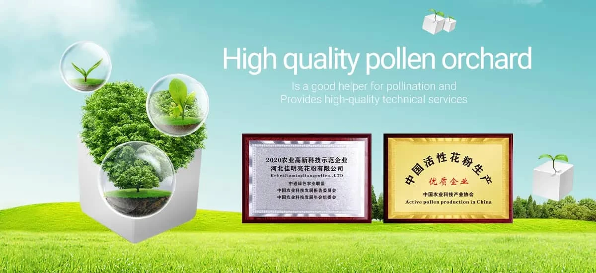 Understanding Pollen Seasonal Patterns