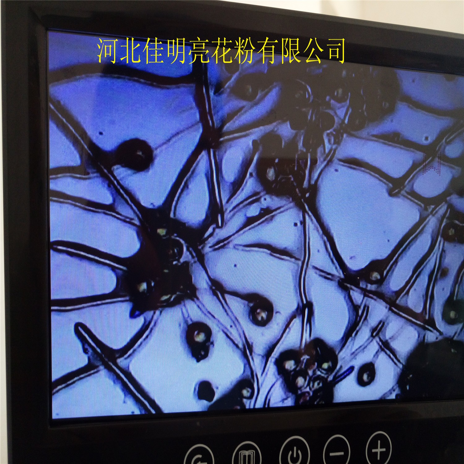 CE Certification Pear Pollen Tube Growth: Ensuring Quality & Sustainability in Fruit Production