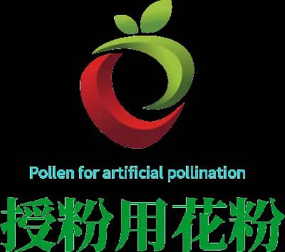 pollen for pollination in cherry orchard company