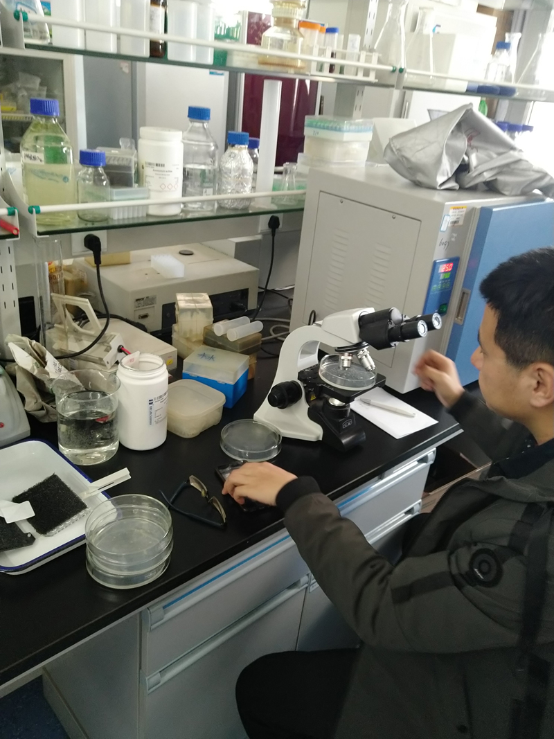 Exploring the Procurement and Utilization of Pear Pollen Production Facilities