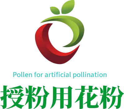 Exploring the Nutritional Benefits and Production Process of Apricot Pollen in Sustainable Factories