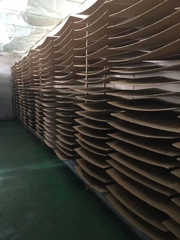 Read More About Pearpollen