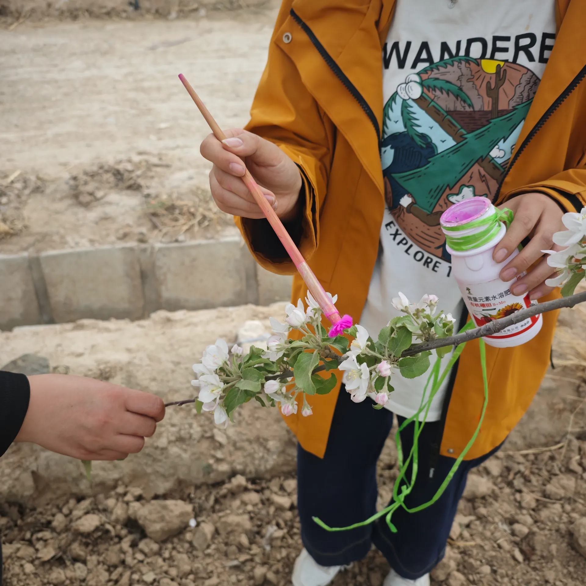 Other Fruit Pollen Orchard Growth Boosters