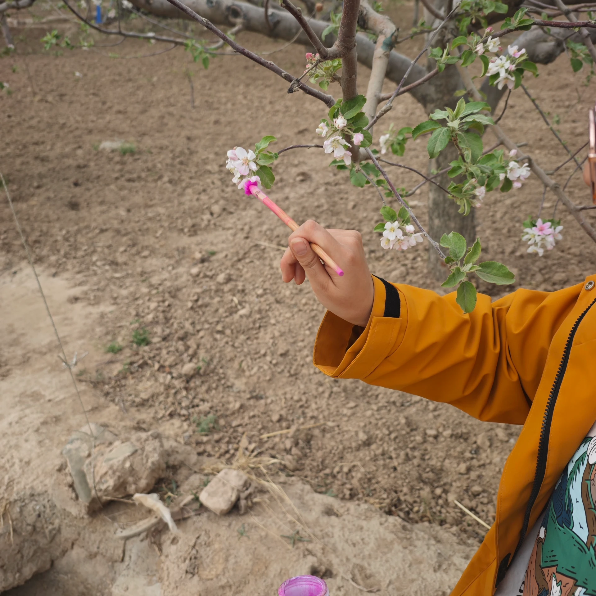 Other Fruit Pollen Orchard Growth Boosters