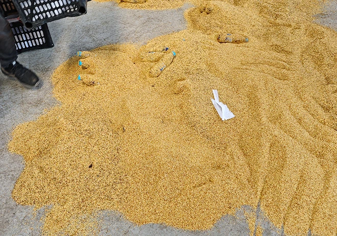 Why Is China Leading Pear Pollen Supplier Showcasing Innovation at Macfrut?