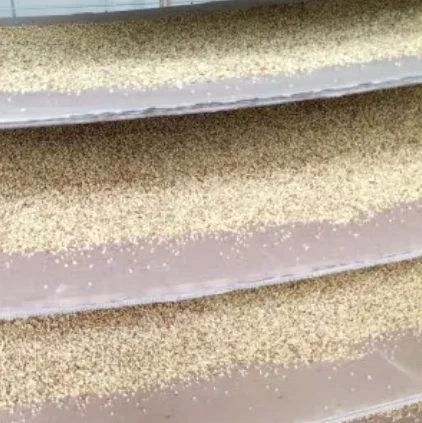 The Unique Experience of Harvesting Famous Pear Pollen This Season The Unique Experience of Harvesting Famous Pear Pollen This Season