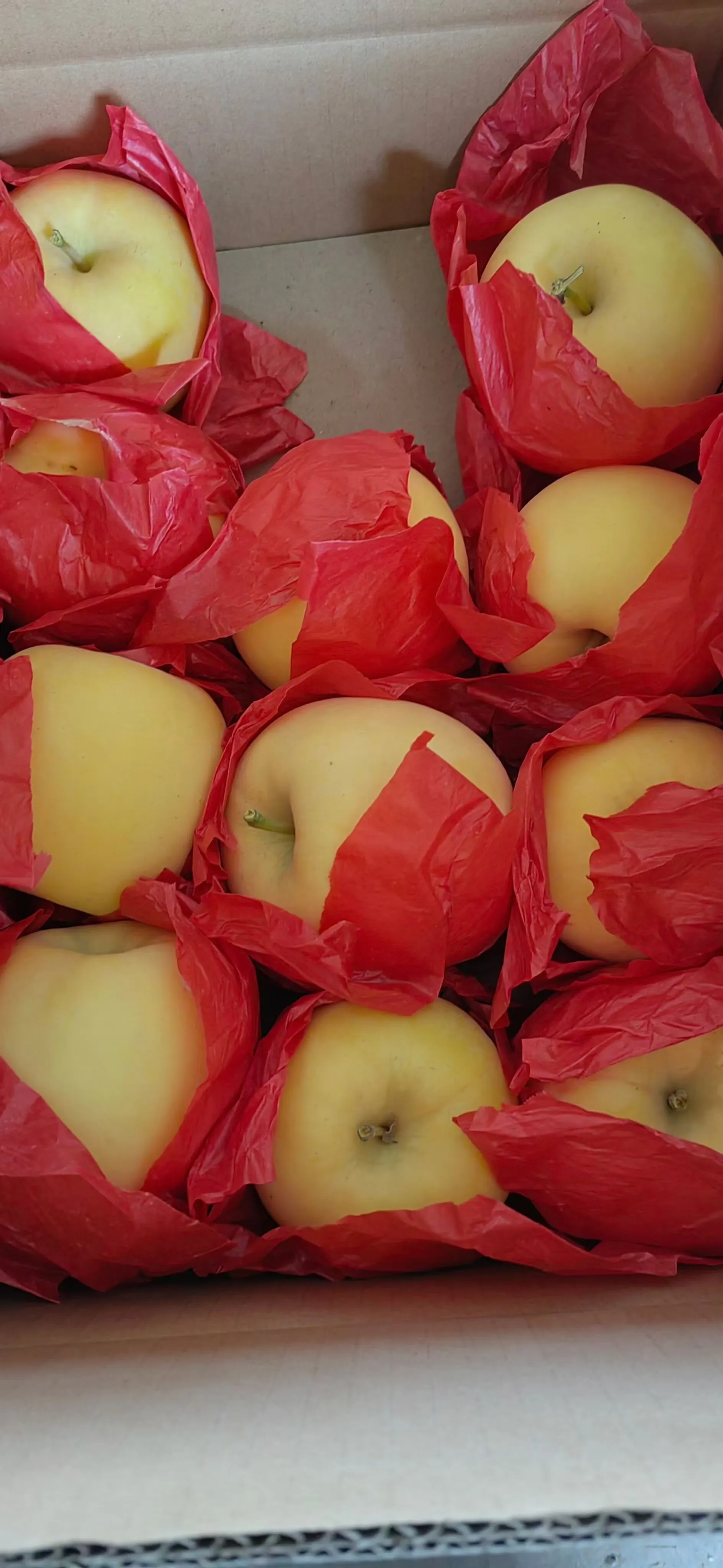 peach blossom powder dosage manufacturer peach blossom powder dosage manufacturer