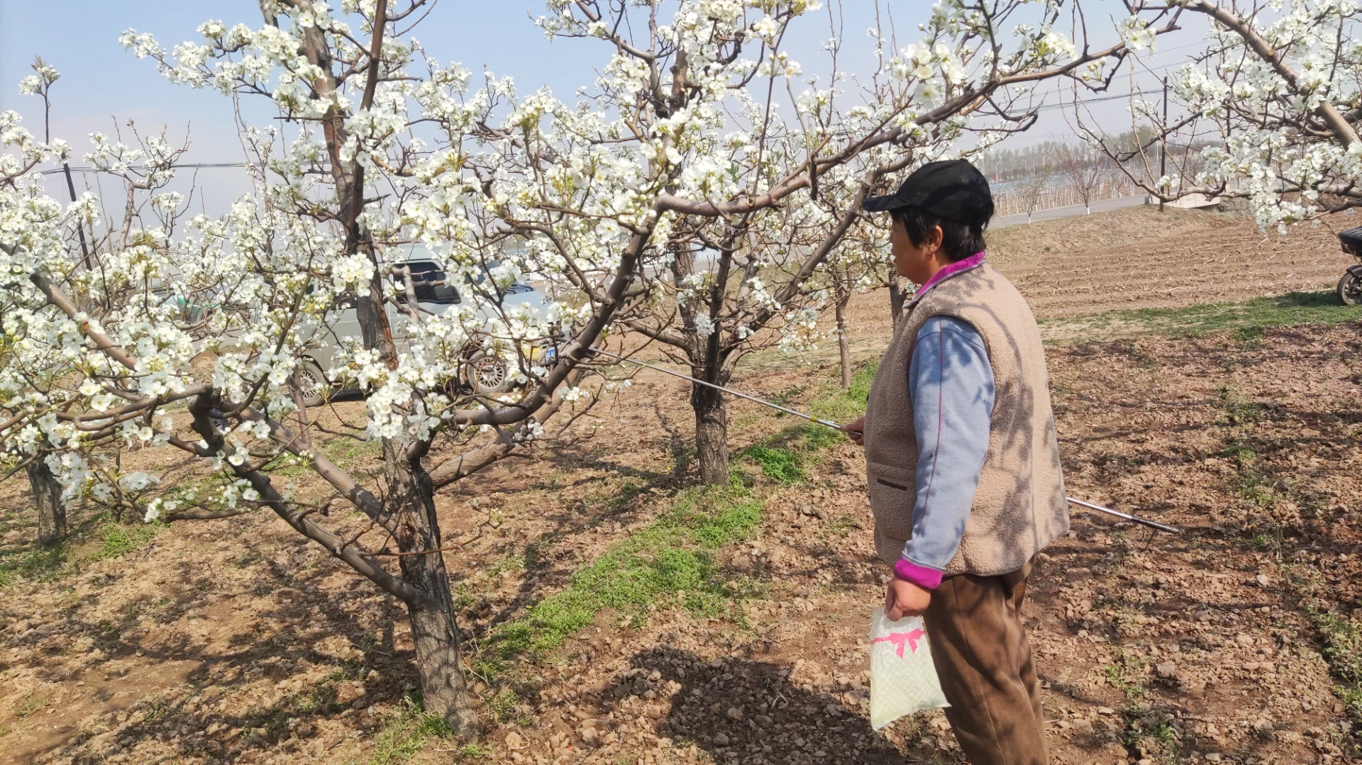 pearpollen query factory