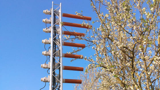 کیسه های کیفیت بالا برای درختان میوه رشد می کنند