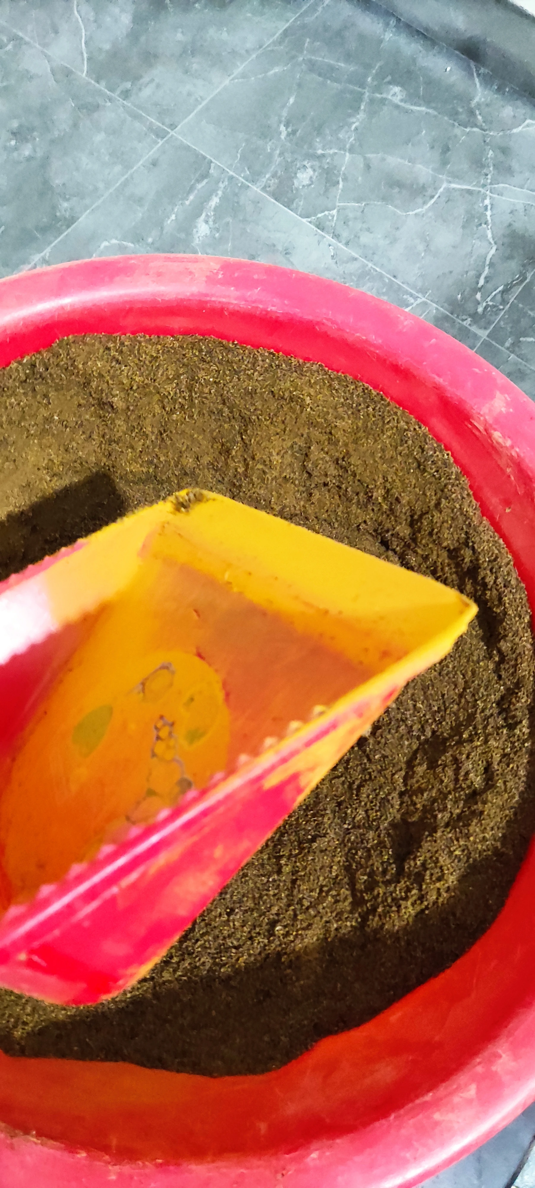 Shifting Patterns in Ambrosia Pollen, Grass Pollen, and Pine Tree Pollen