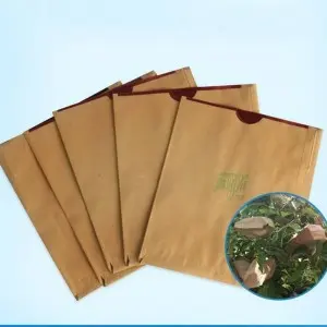 buy pollen from apple to pear