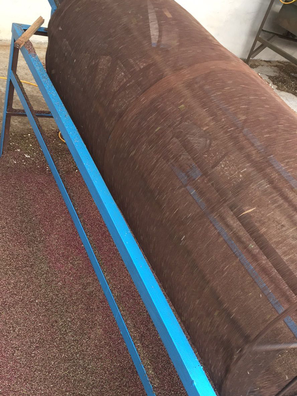 Remove Impurities From Anthers