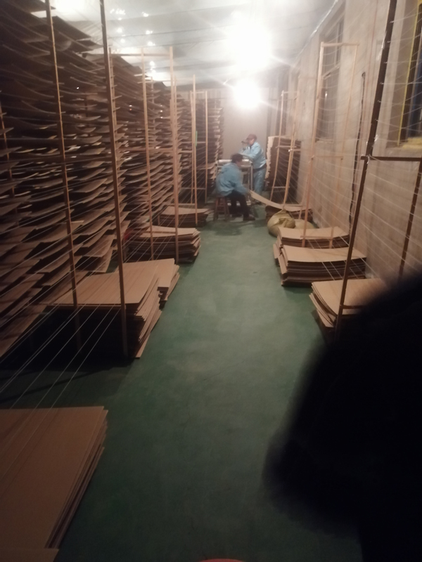 Constant Temperature Prescribing Room