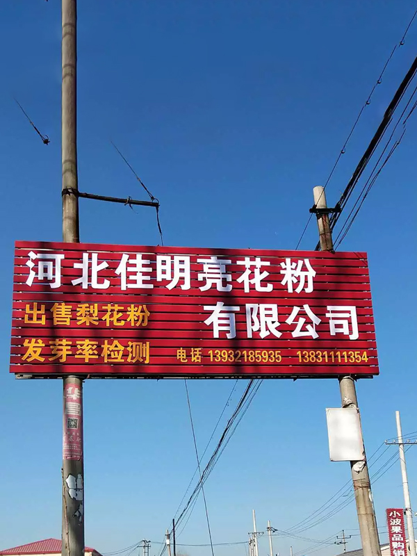 wholesale benefits of using apple pollen