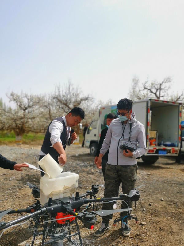 Eco-Friendly Banana Paper Bags for Sustainable Shopping and Packaging Solutions