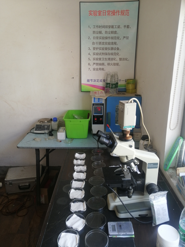 Apple Pollen CE Certification Collection Overview and Insights on Safety Standards