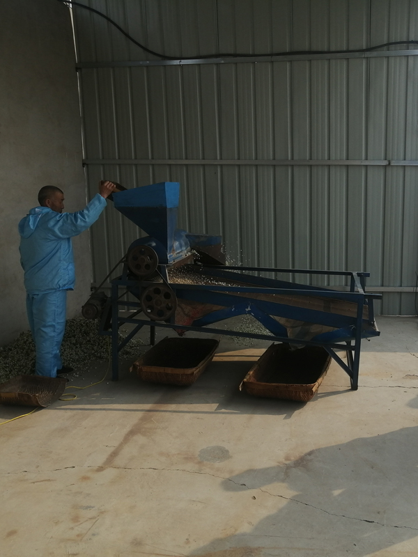 Read More About Asian Pear Pollen