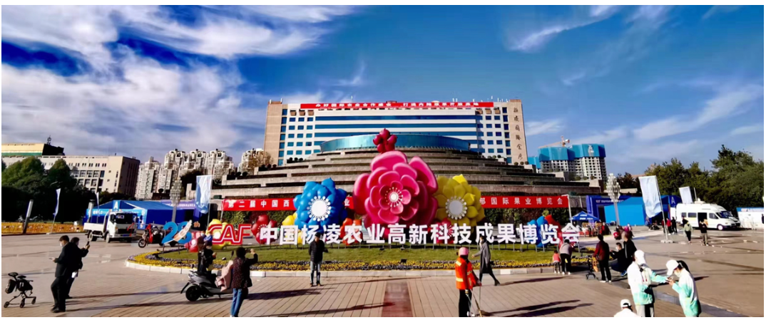 Exploring the Health Advantages and Uses of Plum Pollen Products for Wellness