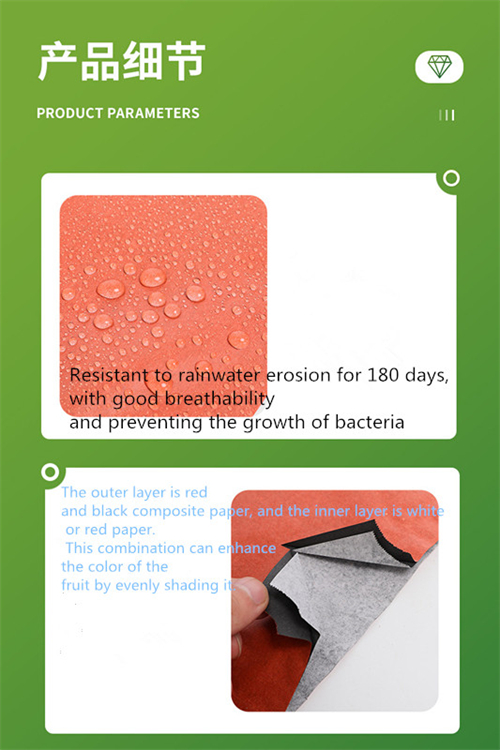 Exploring the Characteristics and Uses of Apricot Pollen in Agriculture and Health