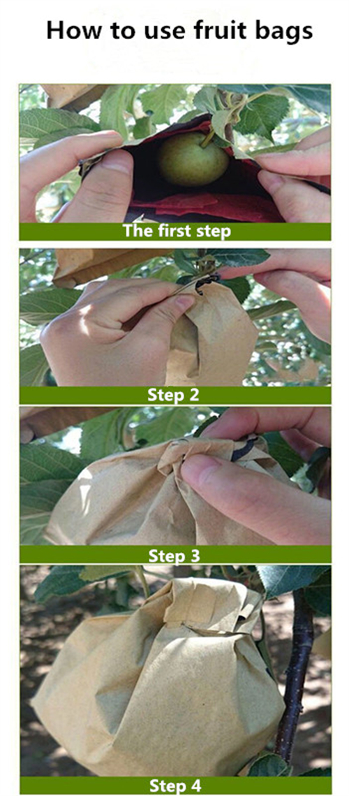 pearpollen on trees manufacturers