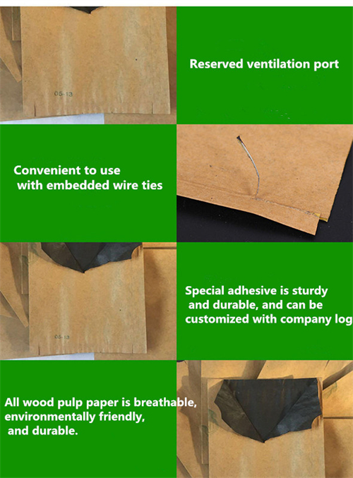 apricot pollen pollination companies