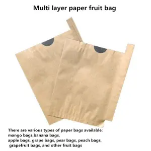 ce certification apricot pollen forecast