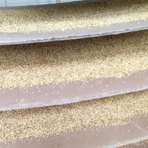 Vibrant Yellow Pear Pollen A Natural Wonder for Allergies and Wellness